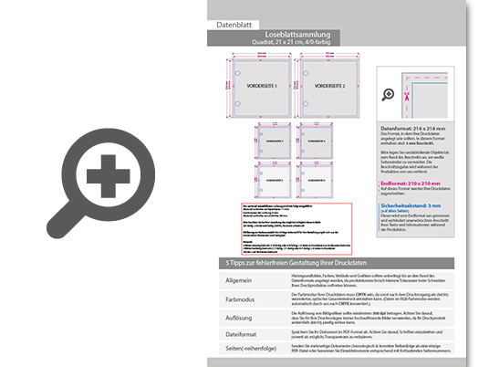 Product Bild loseblattsammlung_21_0_cm_x_21_0_cm__46_bl__tter_pro_sammlung__vorne_farbig_(4_0)
